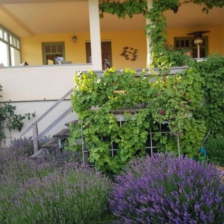 Ferienhaus Schiller Waren  Bagian luar foto