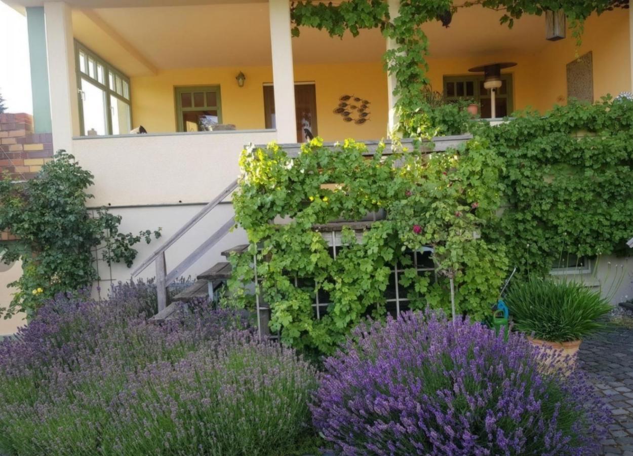 Ferienhaus Schiller Waren  Bagian luar foto
